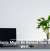Houseplants Might Be Behind Your Sluggish Wi-Fi